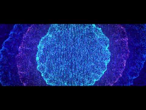 Particle Explosion HD