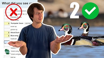 5 Expert Tips for Making Better eBird Checklists