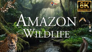 Amazon Wildlife 8K ULTRA HD | Discovery Amazon Jungle Animals | Tropical Rainforest Nature Sounds