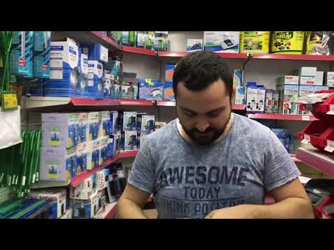 Video: 12 Dövlətdə Heyvan Mağazası Kukla İlgili İnfeksiyanın Baş Verməsi Bildirildi