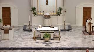 St. John the Baptist: A Voice for God's Mercy and Truth