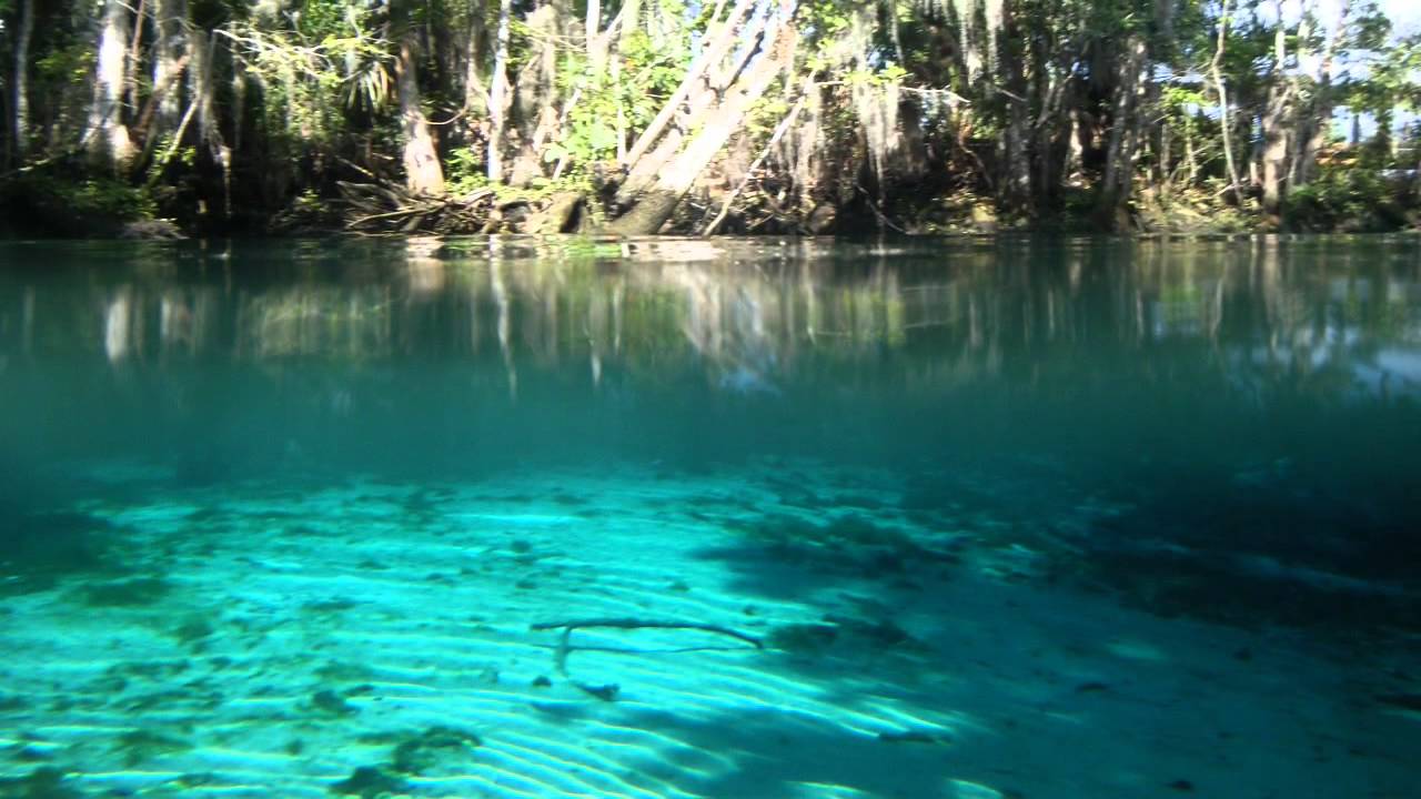 Canoe Trip To Three Sisters Springs, FL July 4th 2012 ...