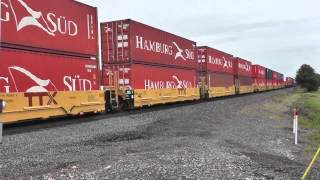 NS 1111 Barcode Unit Leads 20N