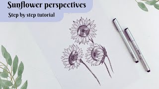 Draw different sunflower perspectives. Flower drawing from different angles. Sunflower drawing.