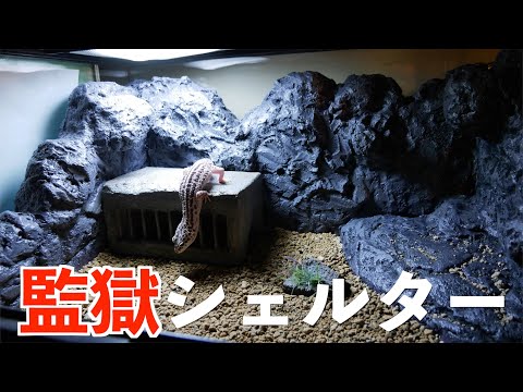 月光堂　爬虫類　監獄　シェルター　レオパ 月光堂 爬虫類 監獄 シェルター レオパ