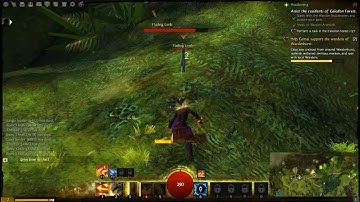 Guild Wars 2 - Sylvari Elementalist Gameplay part 2