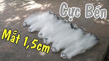 Lưới đánh Tép, Cá Mương cực bén - Mắt lưới 1,5cm lọt đầu đũa ...