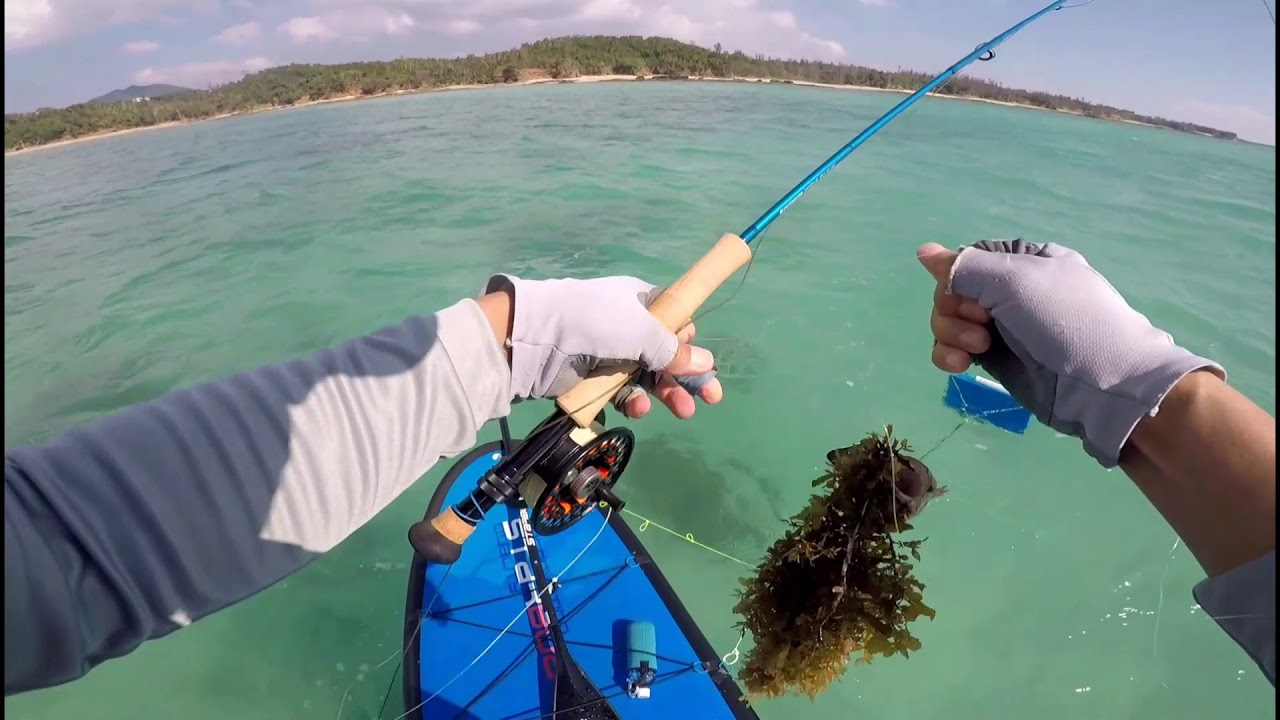 SUP Flyfishing Okinawa Japan フライフィッシング沖縄研究所 YouTube