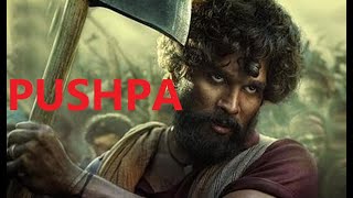 ملخص  Pushpa The Rise