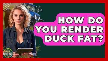 How Do You Render Duck Fat? - The World of Agriculture