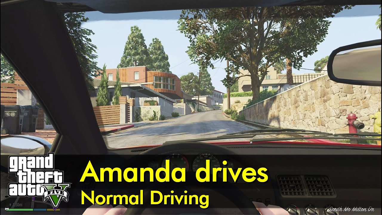 Amanda De Santa, Wiki GTA Los Santos