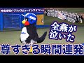 【続・神回】リーグ優勝が決まった瞬間、離れていてもチームを想うつば九郎の姿が尊すぎた～試合終了後編③～【レアで尊い】