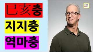 사해충 - 사주 지지충에 대해 공부합니다
