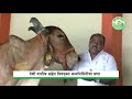 Natural farming ramesh bhamre  vighnahar creations