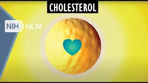 Cholesterol Good and Bad