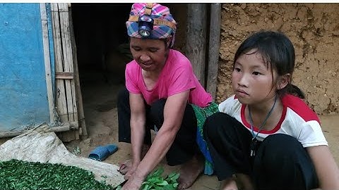 Ước Mơ Của Em Cuốc Mồ Côi Cha|Cói Lalin