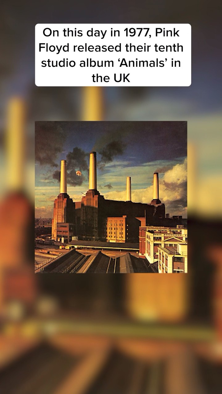 ピンクフロイド　アニマルズ　1977年リリース Pink Floyd (ピンク・フロイド) 『Animals (アニマルズ)』(1977