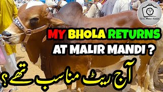 Malir Cow Mandi 2021 Part 1 RATES UPDATE | Cattle Market Karachi | Bakra Eid 2021 | Malir Mandi 2021