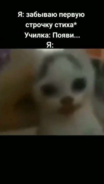 Чем отличается красная зона от черной - YouTube
