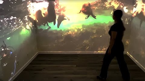 VizMove PRISM Virtual Simulation Room - Nature Scene Demo