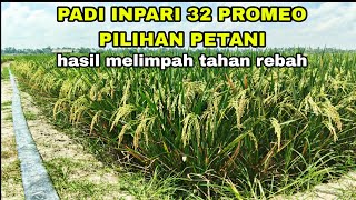 PAD INPARI 32 PROMEO PILIHAN PETANI