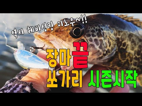 장마 후 쏘가리 낚시 패턴 분석/ 여름 시즌 레깅스 <strong>반바지</strong> 입고 입수~!!