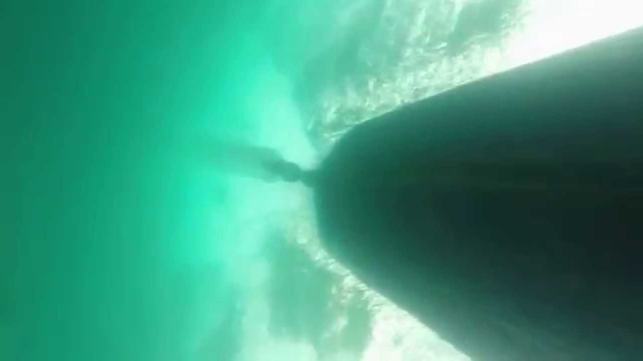 Near Death Free Diving Incident YouTube
