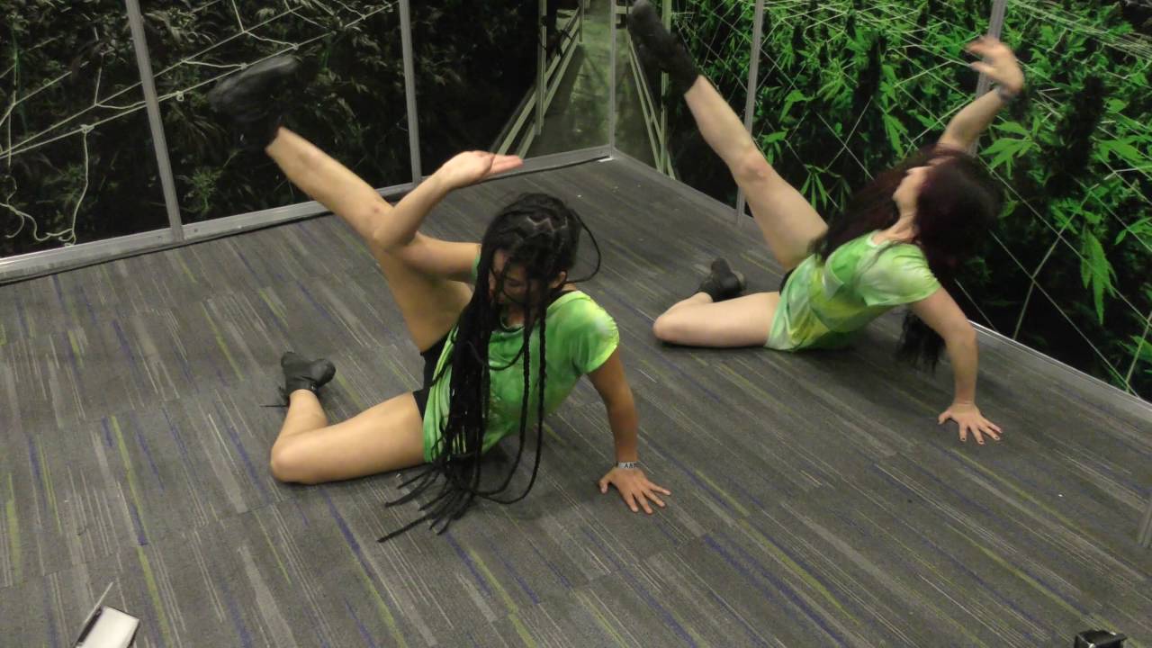 Expoweed FLOW LATINO MEXICO CITY