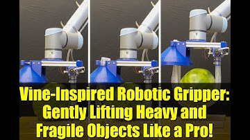 Vine-Inspired Robotic Gripper: Gently Lifting Heavy and Fragile Objects Like a Pro!