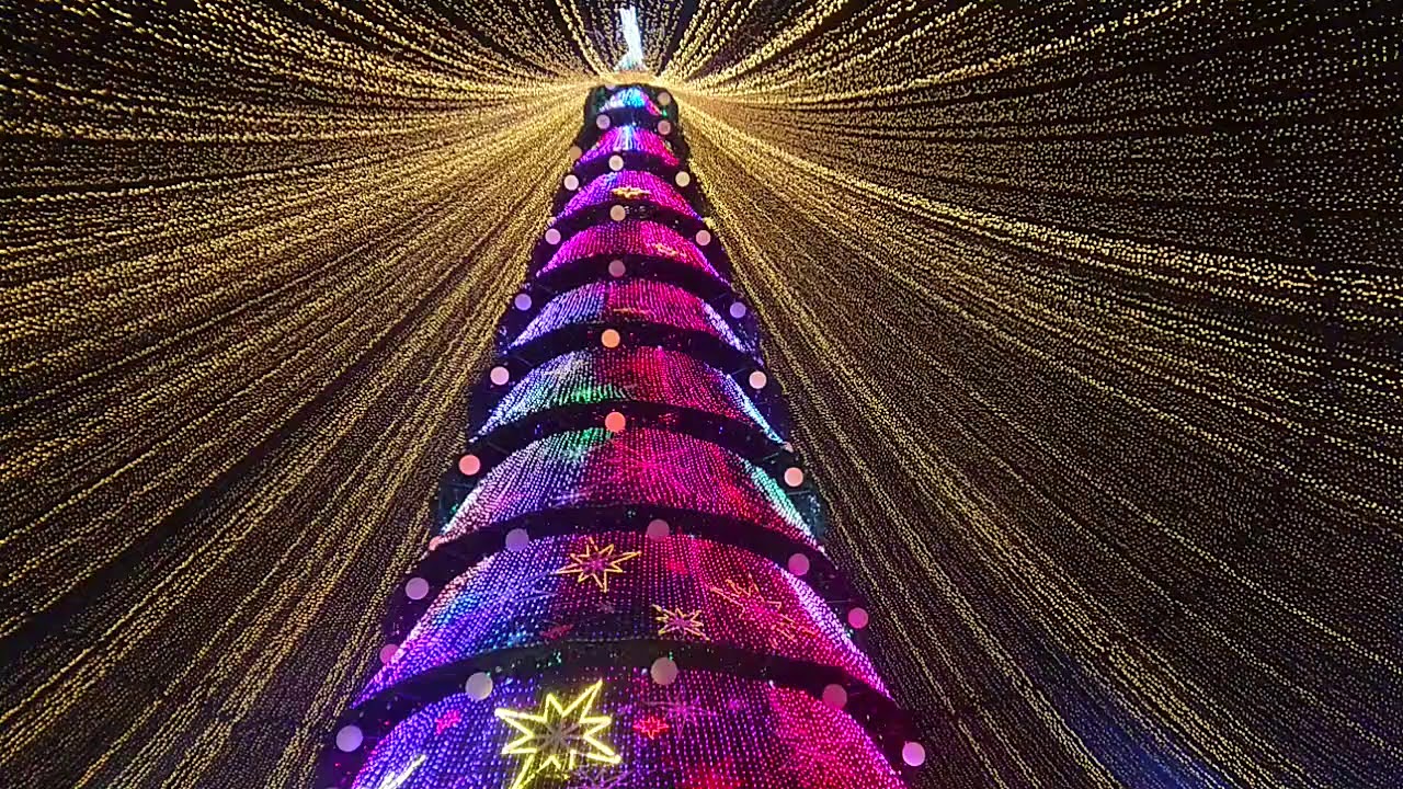 какая самая дорогая елка. новогодние елки мира. какая самая дорогая елка. какая самая дорогая елка. главная ёлка казани тысячелетия пл.