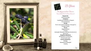 The Bach Flower Remedy - #23 Olive - From Exhaustion to Inner Renewal