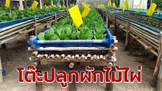 โต๊ะปลูกผักไม้ไผ่ (Growing vegetables on bamboo bed) Farm station