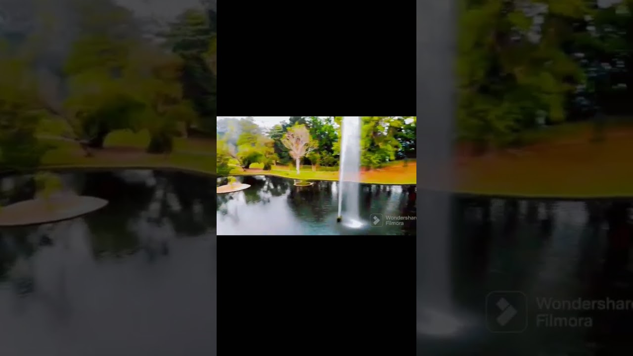 kebun raya cibodas