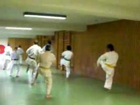 Kyokushin Karate Training in Bayern