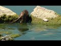 Middle of video