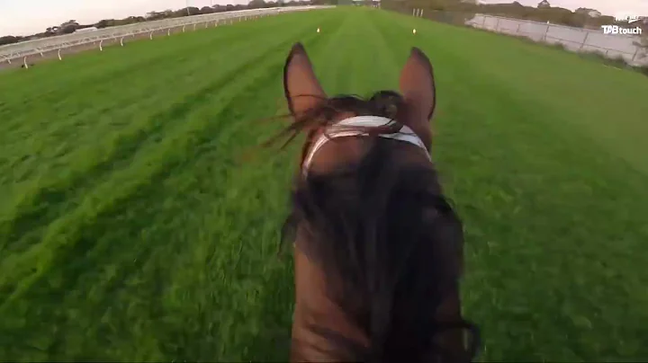 Jockey Cam with William Pike and The Astrologist
