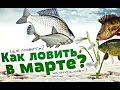 Какая рыба ловится в марте? На что ловится рыба в марте? Поведение рыбы в марте!