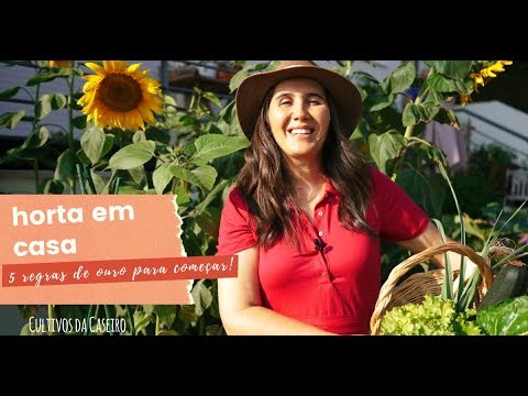 Vídeo: Cultivando Tomates de Fogo Solar: Aprenda sobre os Requisitos de Cuidados com Fogo Solar