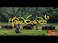 අම්බරුවෝ lyrical vidio ගායනය-සමන් ලෙනින්