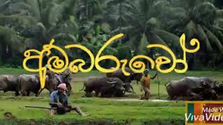 අම්බරුවෝ lyrical vidio ගායනය-සමන් ලෙනින්