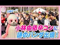 【潜入】「小林由依 卒業コンサート」の会場にパンダが登場!【踊ってみた】