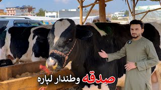 Ramadan 15 | Meat charity | د غوښې صدقه | کابل