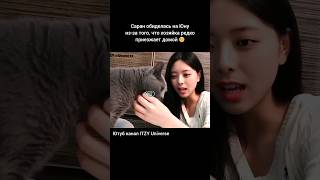 #itzy #yuna #cat #viral #рекомендации #foryou #fyp #trend #kpop #skz #bts #ateez #twice #blackpink