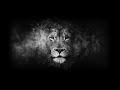 Two Steps From Hell Heart Of Courage Extended 1 Hours Two Steps From Hell Heart Of Courage Extended 1 Hours