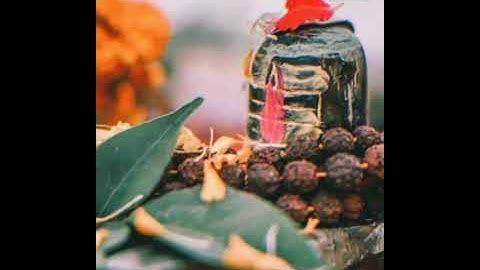 Shiv sama rahe || Mahadev status video || Devo ke dev mahadev || #youtube #mahadev #status #devotion
