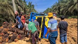 Ngeriterekam Jelas detikdetik Truk Sawit Tumbang Di Jln Rusak Parah  Dan Berlumpur