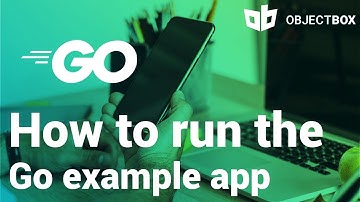 Running the Go example app with sync