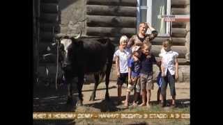 Многодетной семье подарили корову