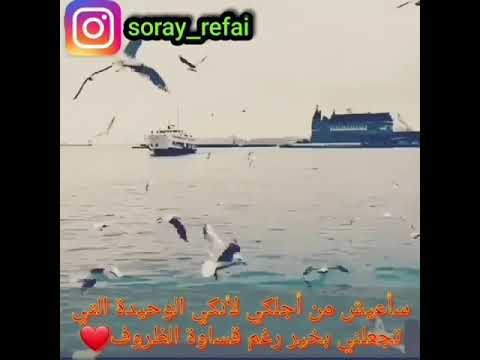 حالات واتس اب عندك خبر ناصيف زيتون انستغرام فيديو حب حزن بدون حقوق وجع ندم نسرين طافش قصي خولي تيم ح