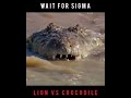 Sigma rule lion vs crocodile fearless 